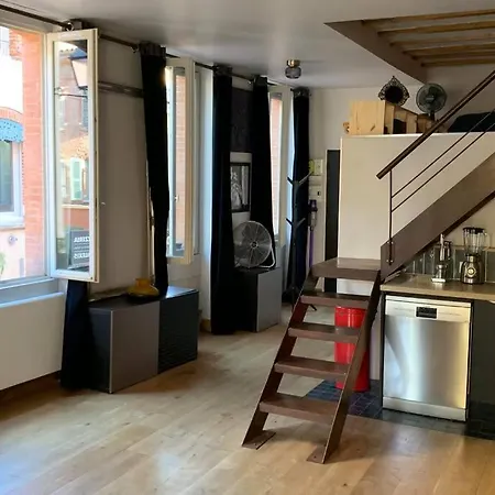 Bel Atypique Quartier St Cyprien Apartamento