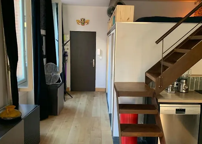 Bel Atypique Quartier St Cyprien Toulouse